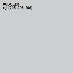 #CDCED0 - Ghost Color Image