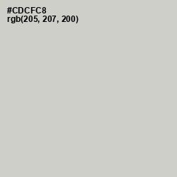 #CDCFC8 - Pumice Color Image