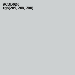 #CDD0D0 - Conch Color Image