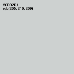 #CDD2D1 - Conch Color Image