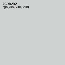 #CDD2D2 - Conch Color Image