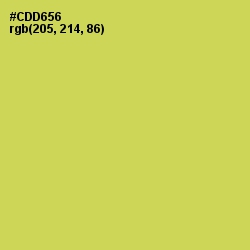 #CDD656 - Wattle Color Image