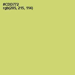 #CDD772 - Chenin Color Image