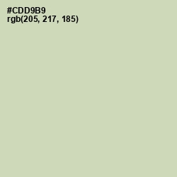 #CDD9B9 - Green Mist Color Image