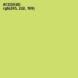 #CDDE6D - Chenin Color Image