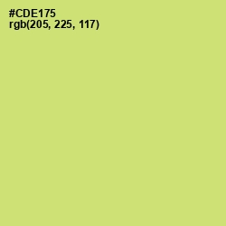 #CDE175 - Yellow Green Color Image