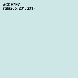 #CDE7E7 - Jagged Ice Color Image