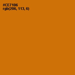 #CE7106 - Indochine Color Image