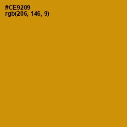 #CE9209 - Pizza Color Image