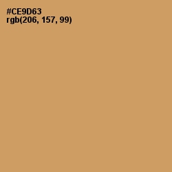 #CE9D63 - Whiskey Color Image