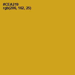 #CEA219 - Buddha Gold Color Image