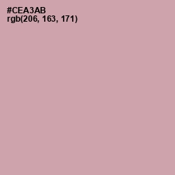 #CEA3AB - Clam Shell Color Image