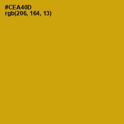 #CEA40D - Buddha Gold Color Image