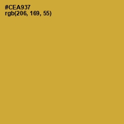 #CEA937 - Old Gold Color Image
