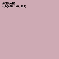 #CEAAB5 - Lily Color Image