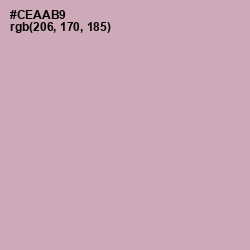 #CEAAB9 - Lily Color Image