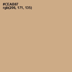 #CEAB87 - Tan Color Image