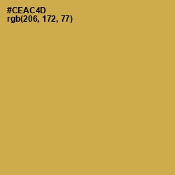 #CEAC4D - Roti Color Image