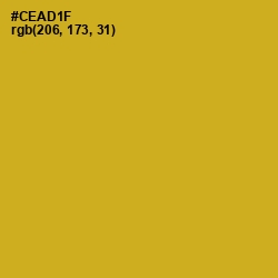 #CEAD1F - Gold Tips Color Image