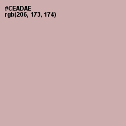 #CEADAE - Clam Shell Color Image