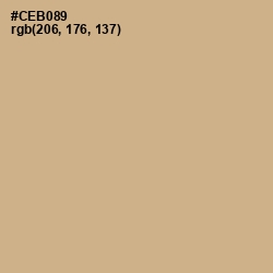 #CEB089 - Sorrell Brown Color Image