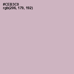 #CEB3C0 - Pale Slate Color Image