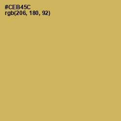 #CEB45C - Sundance Color Image