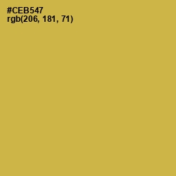 #CEB547 - Turmeric Color Image