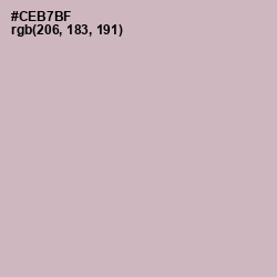 #CEB7BF - Cold Turkey Color Image