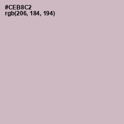 #CEB8C2 - Pale Slate Color Image