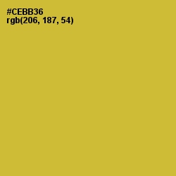#CEBB36 - Earls Green Color Image