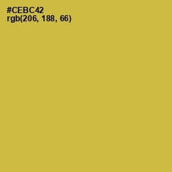 #CEBC42 - Turmeric Color Image