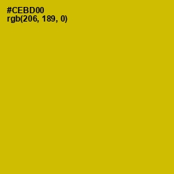 #CEBD00 - Galliano Color Image