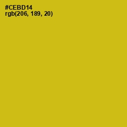 #CEBD14 - Gold Tips Color Image
