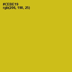 #CEBE19 - Gold Tips Color Image