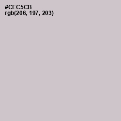 #CEC5CB - Pumice Color Image