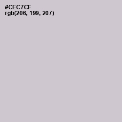 #CEC7CF - Pumice Color Image