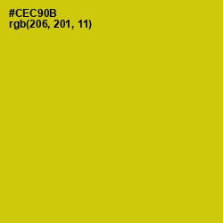 #CEC90B - Bird Flower Color Image