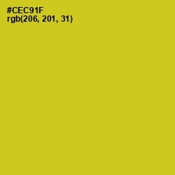 #CEC91F - Bird Flower Color Image