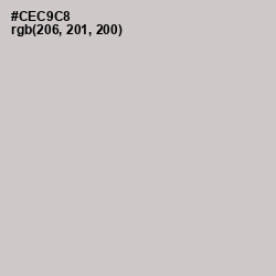 #CEC9C8 - Pumice Color Image