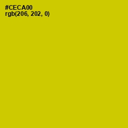 #CECA00 - Bird Flower Color Image