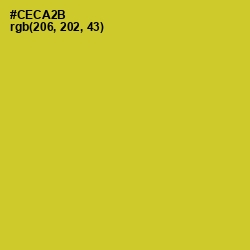 #CECA2B - Bird Flower Color Image