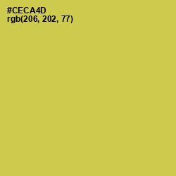 #CECA4D - Wattle Color Image