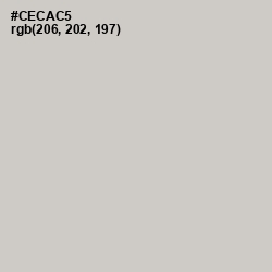 #CECAC5 - Pumice Color Image