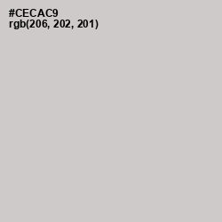 #CECAC9 - Pumice Color Image
