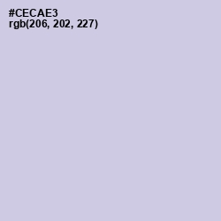 #CECAE3 - Periwinkle Gray Color Image