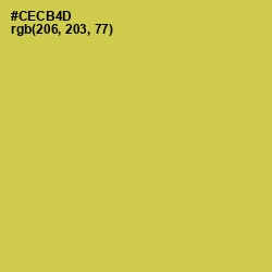#CECB4D - Wattle Color Image