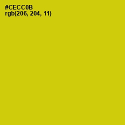 #CECC0B - Bird Flower Color Image