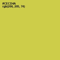 #CECD4A - Wattle Color Image