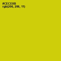 #CECE0B - Bird Flower Color Image